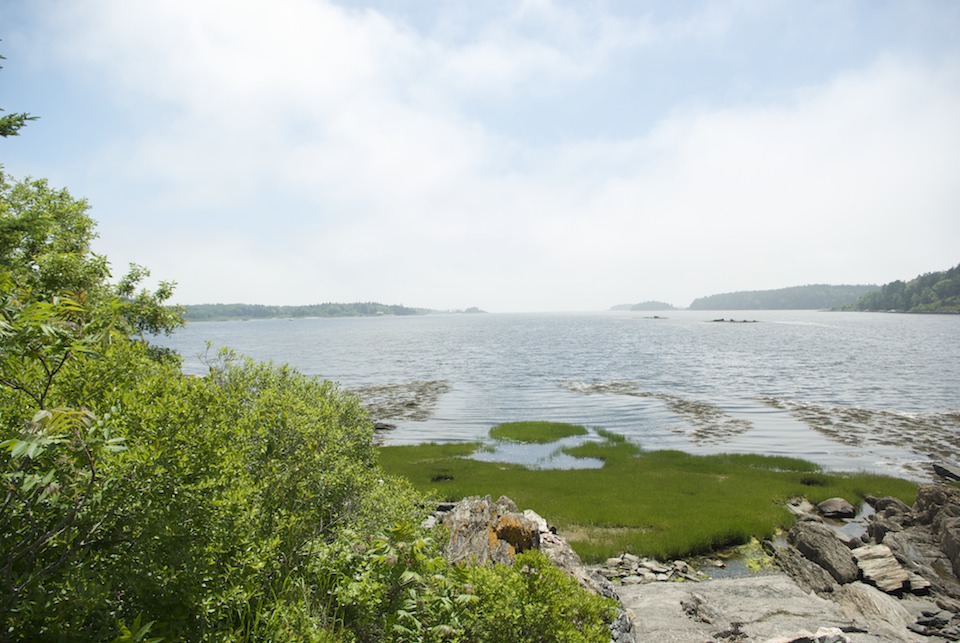 view from the head of Sagadahoc Bay at high tide